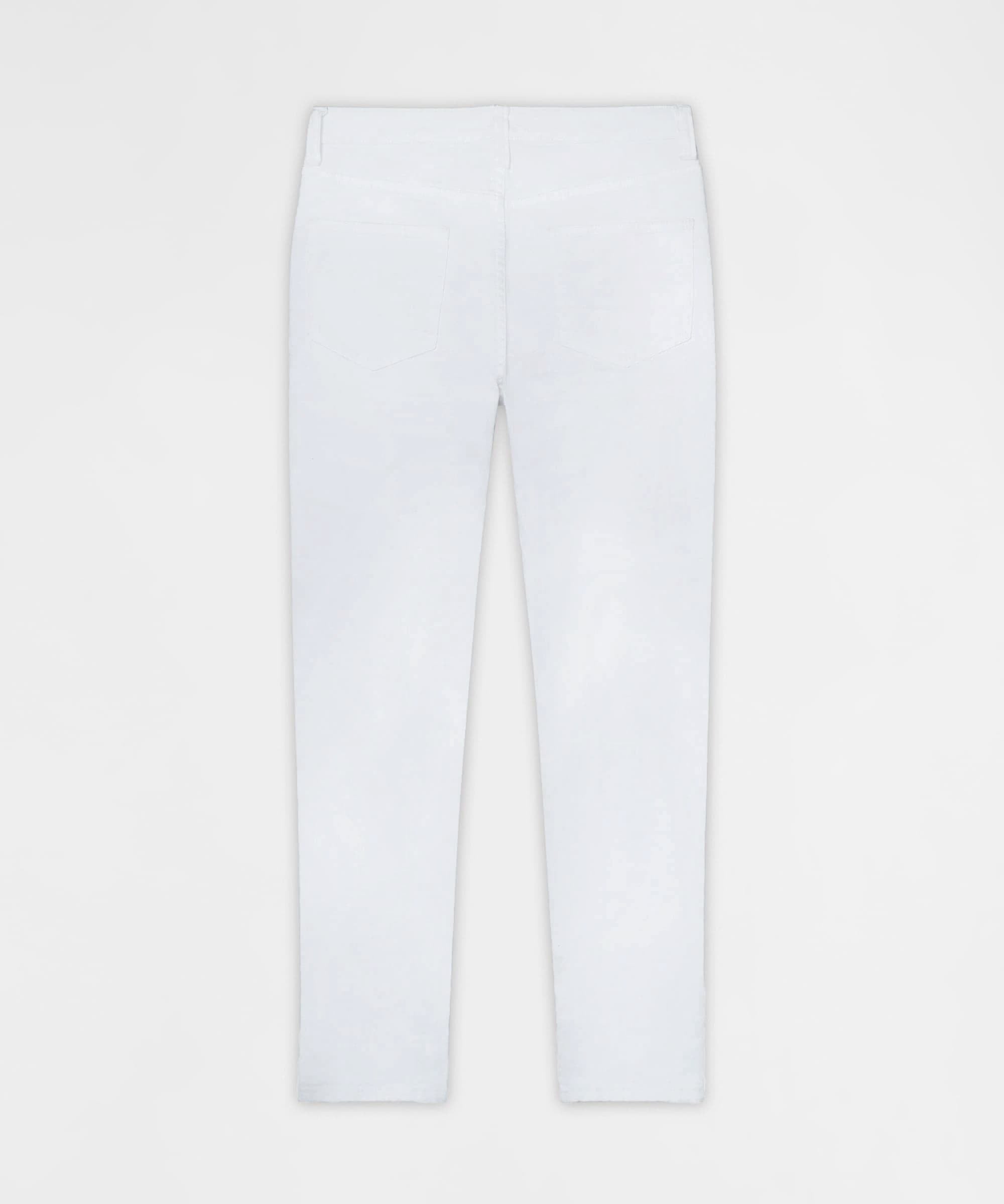 Arctic Distressed Skinny Jeans - White